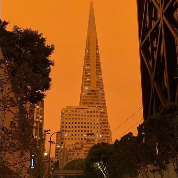 Meet your Posher, Erika - Picture 1 of 1